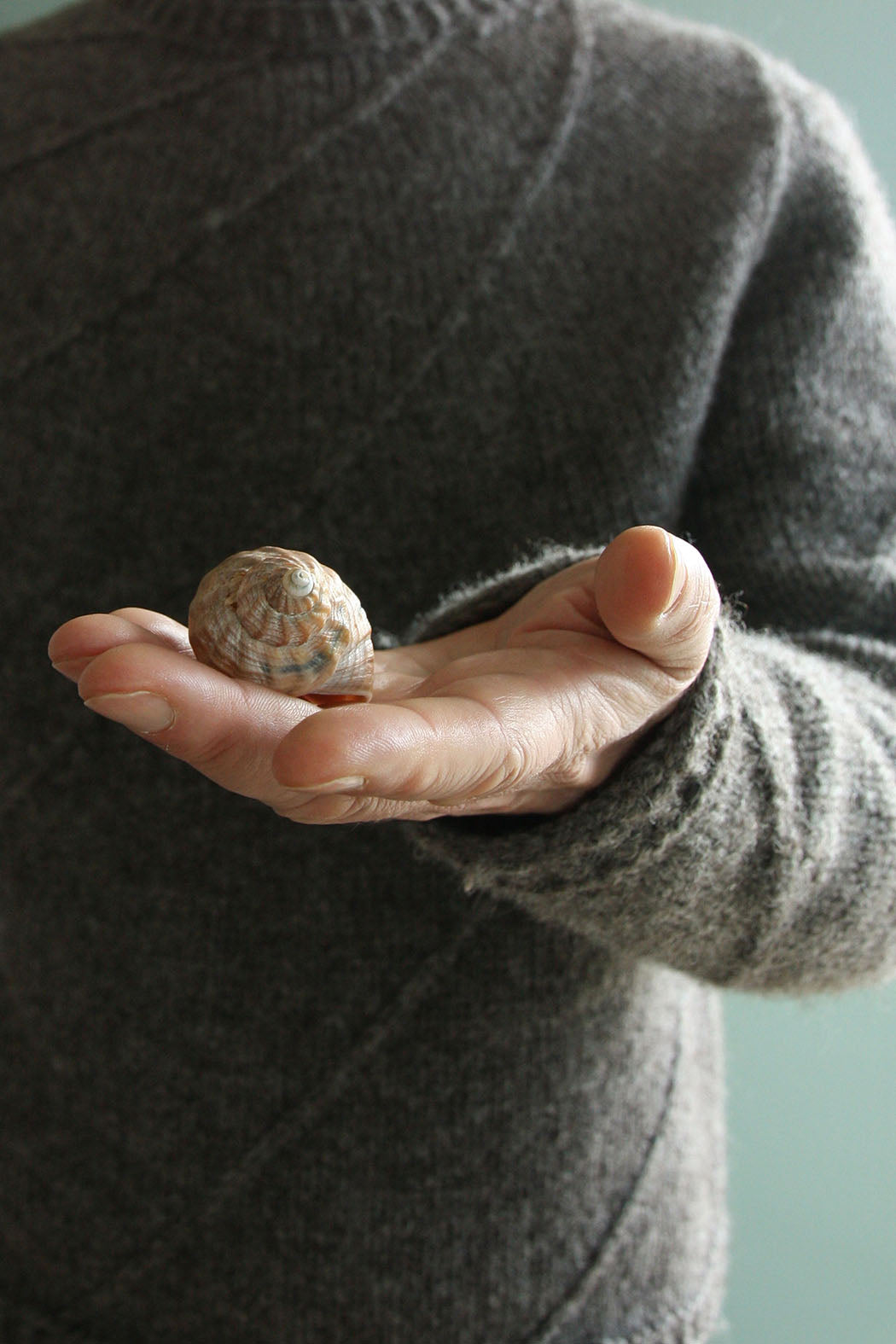 WHELK SWEATER | Pullover mit Rundpasse im Strukturmuster